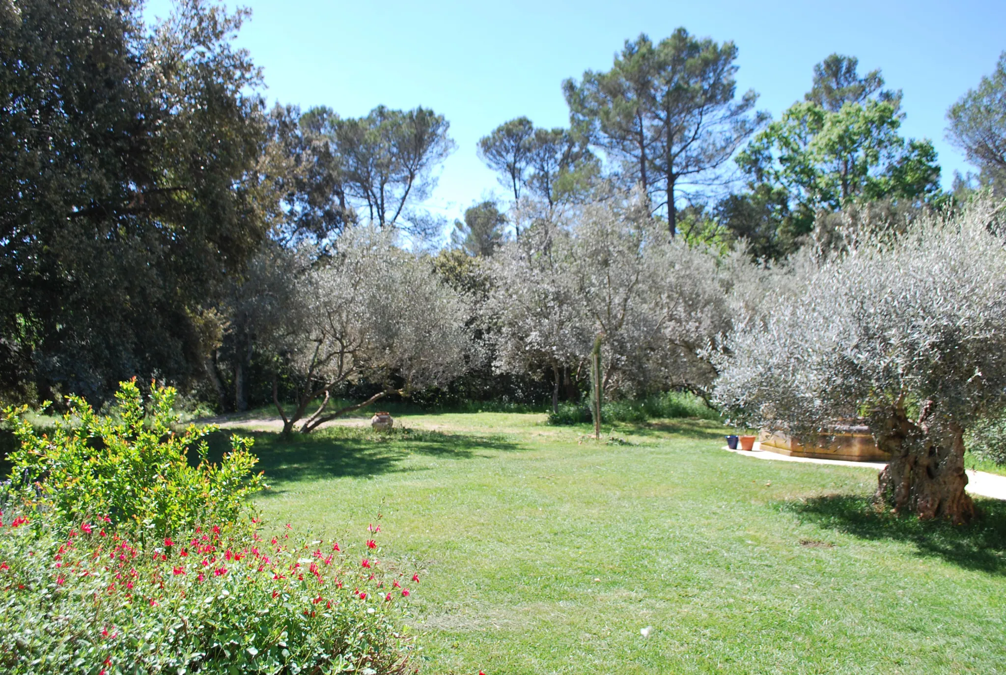 maison/villa 10 pièces à Cotignac (83570) — photo 4