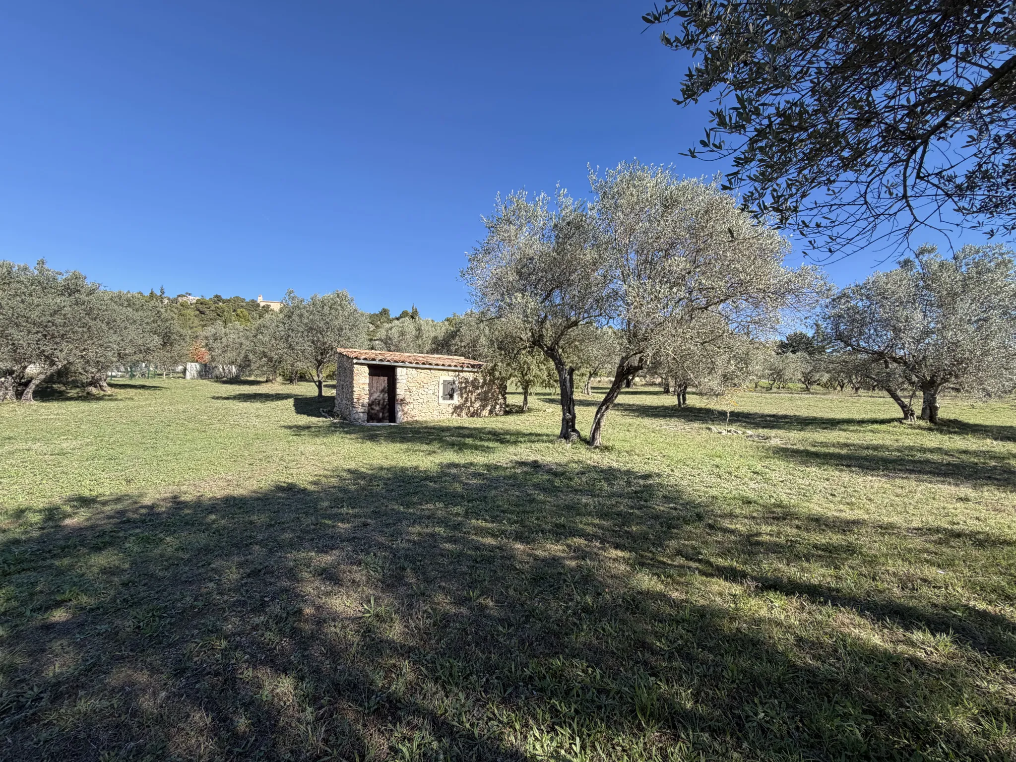 terrain à Moissac-Bellevue (83630) — photo 4