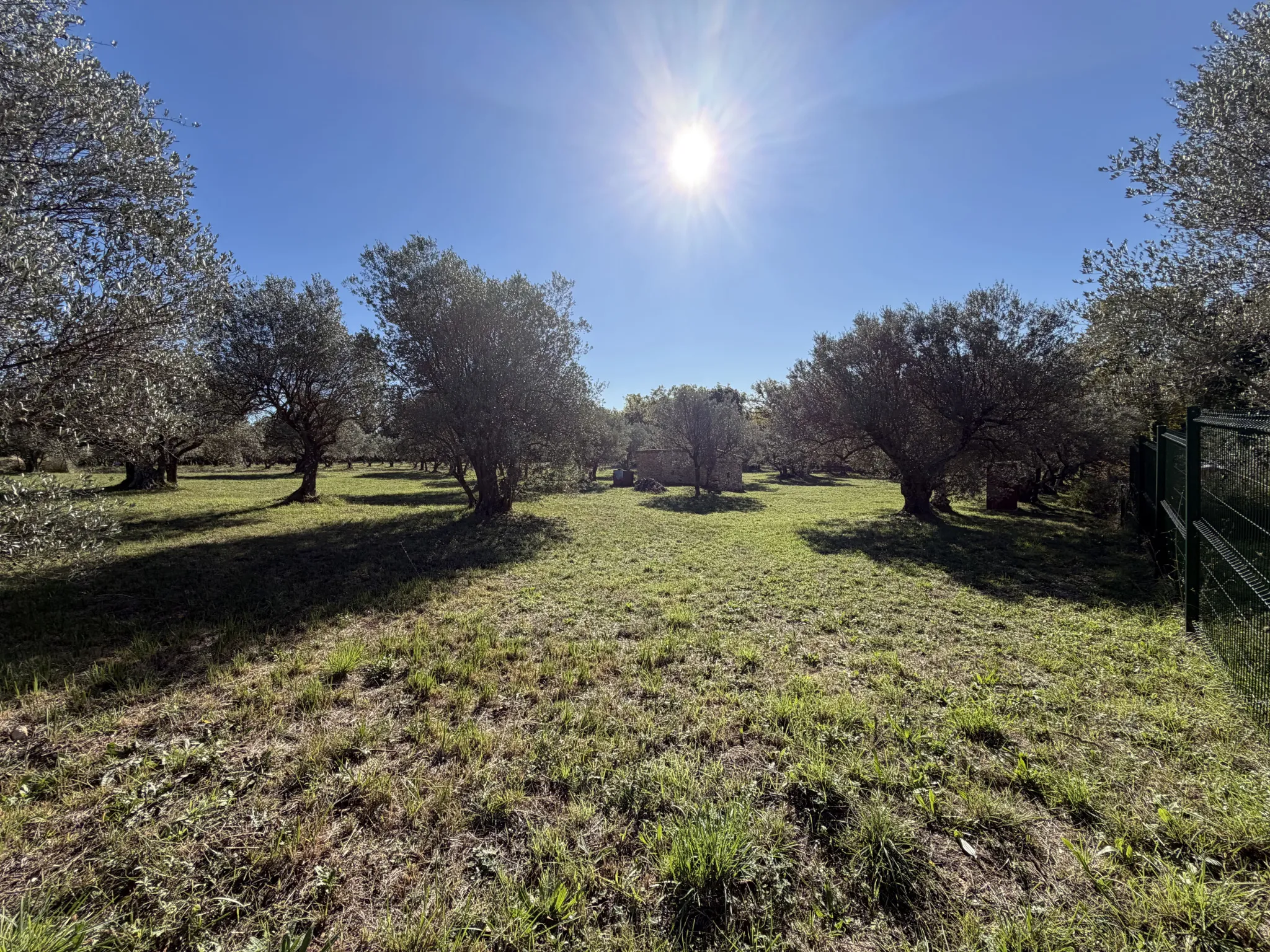 terrain à Moissac-Bellevue (83630) — photo 3