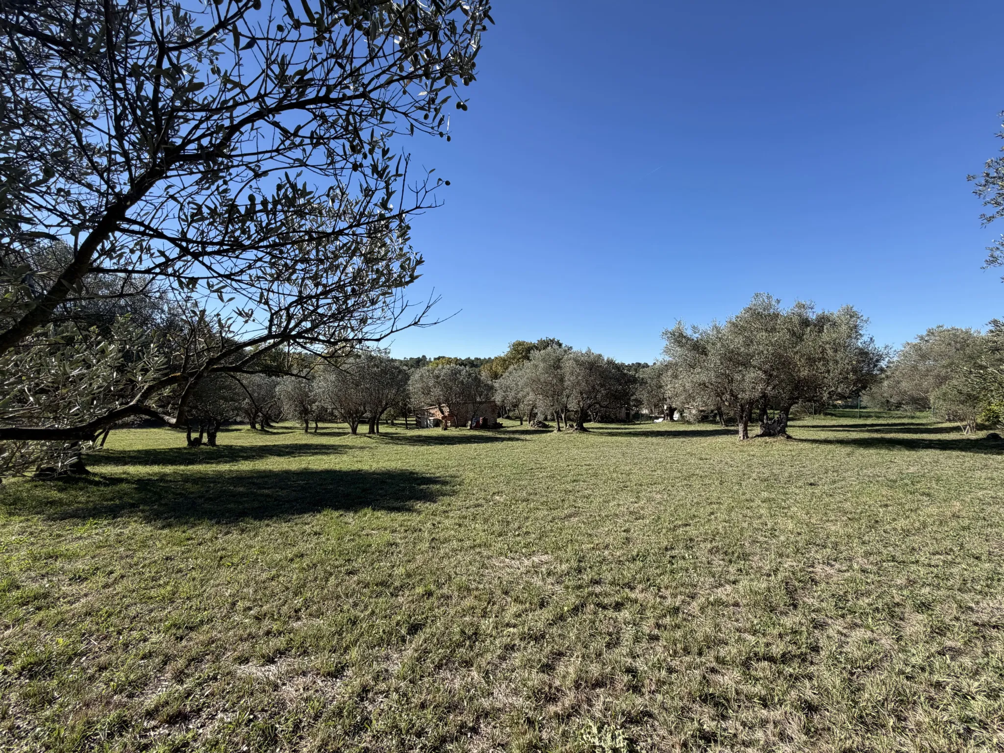 terrain à Moissac-Bellevue (83630) — photo 5