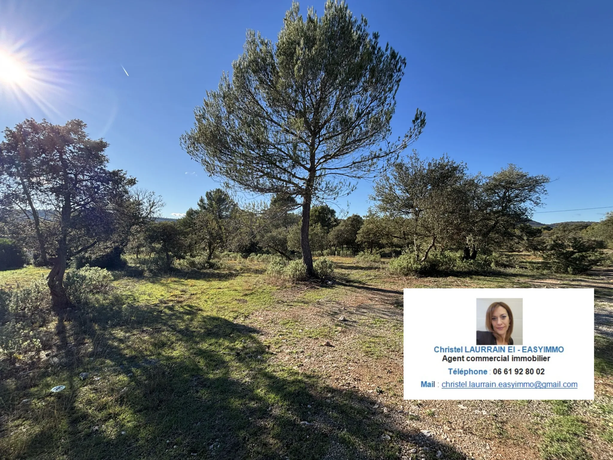 terrain à Fox-Amphoux (83670) — photo 4